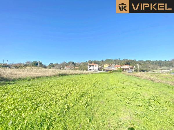 Terreno en Piñeiro