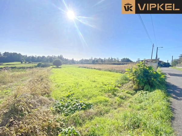Terreno en Piñeiro