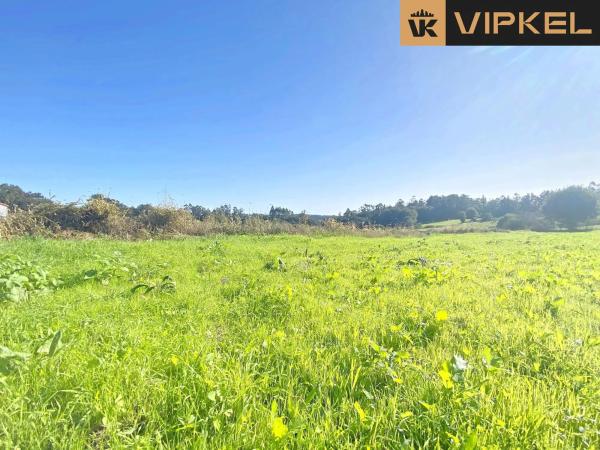 Terreno en Piñeiro