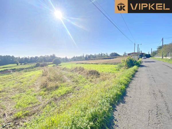 Terreno en Piñeiro