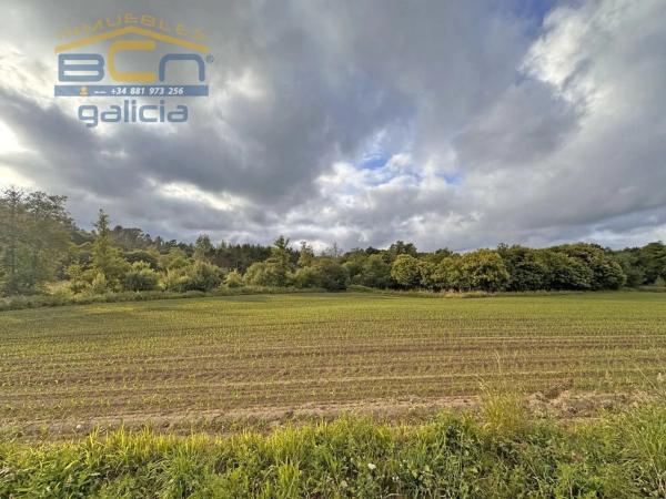 Terreno en calle Campos