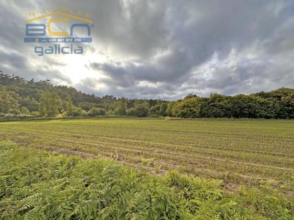 Terreno en calle Campos