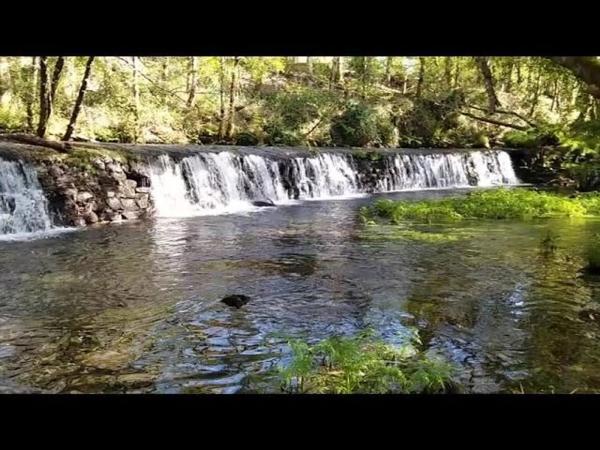 Terreno en calle Campos