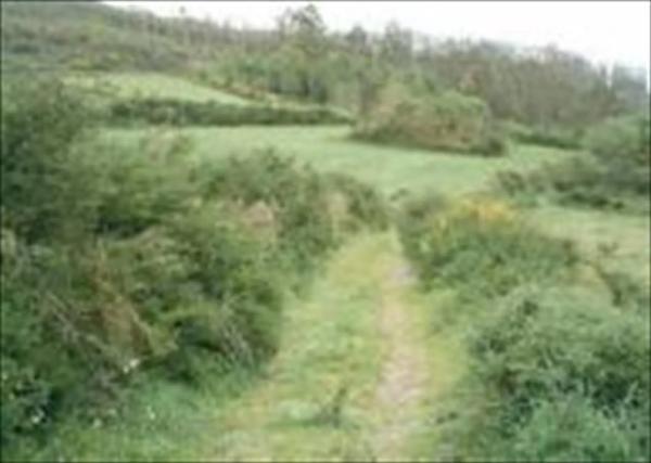 Terreno en Lueiro