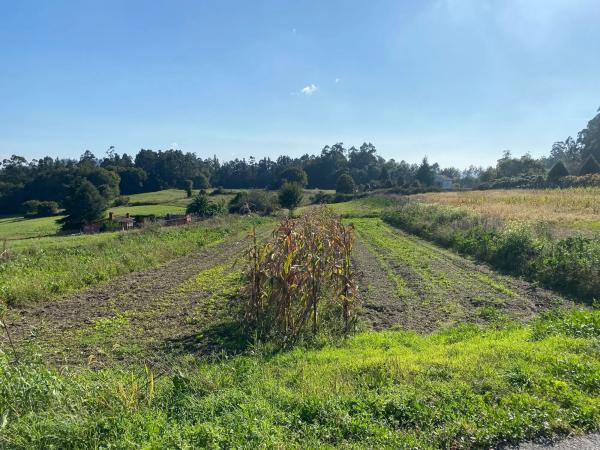 Terreno en Piñeiro s/n