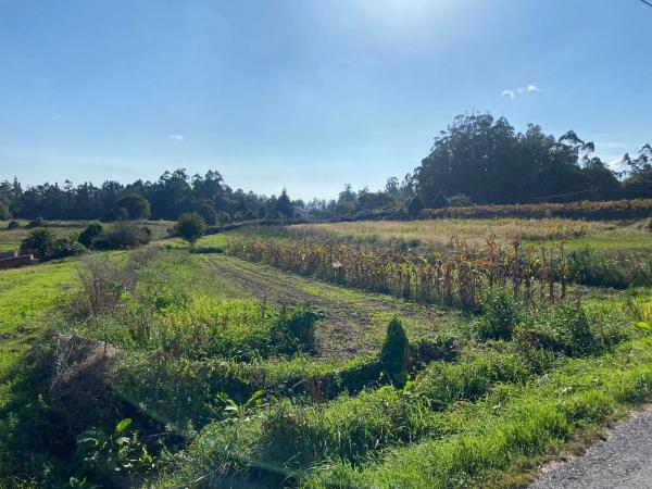 Terreno en Piñeiro s/n