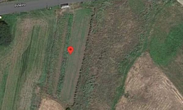 Terreno en Piñeiro s/n