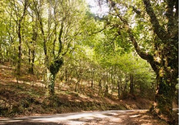Terreno en Ponte Maceira
