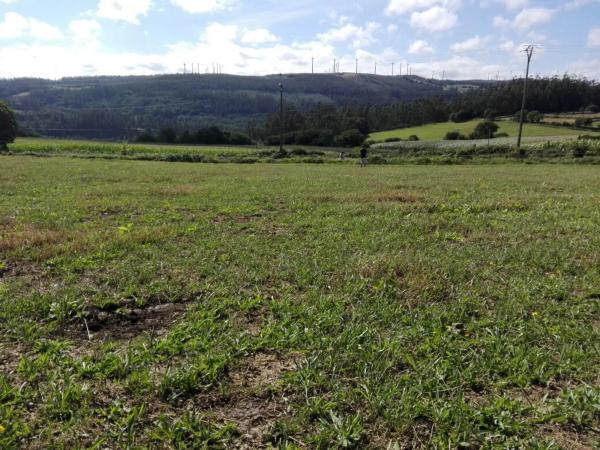 Terreno en Pesaduira, 89