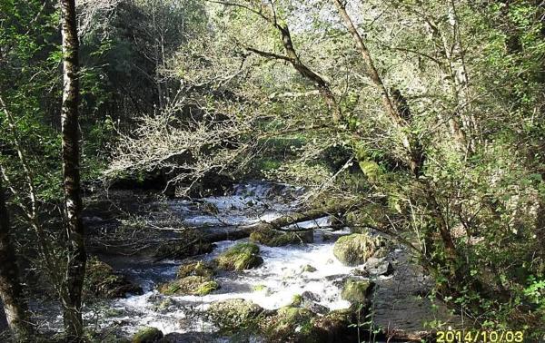 Terreno en calle Negreiroa, 7