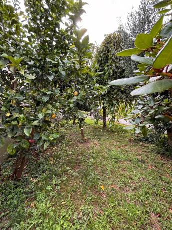 Terreno en Lg Boa s/n