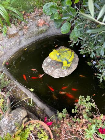 Terreno en Lg Boa s/n