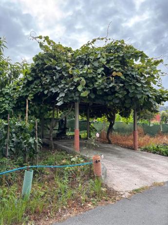 Terreno en Lg Boa s/n