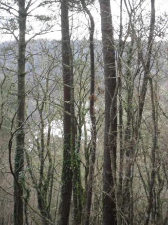 Terreno en calle Negreiroa, 7