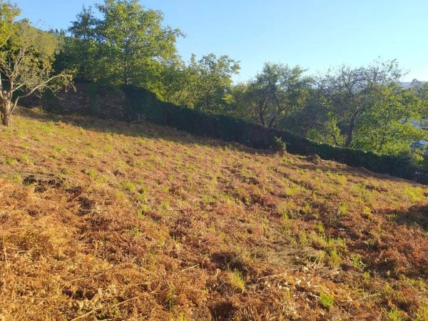 Terreno en Lugar Filgueira, 2