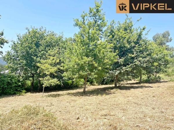 Terreno en avenida Galicia