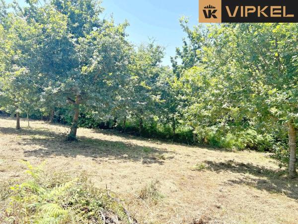 Terreno en avenida Galicia