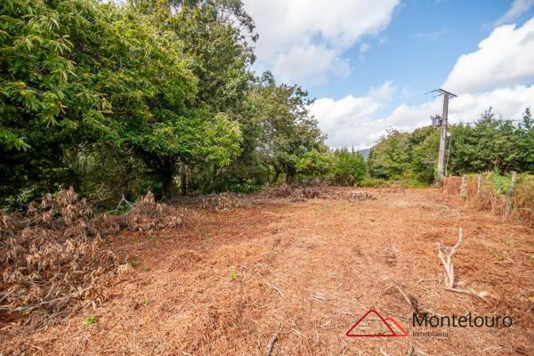 Terreno en calle Entins s/n