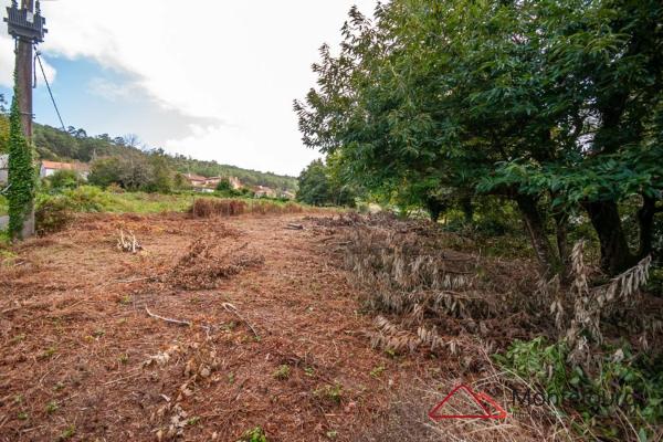 Terreno en calle Entins s/n