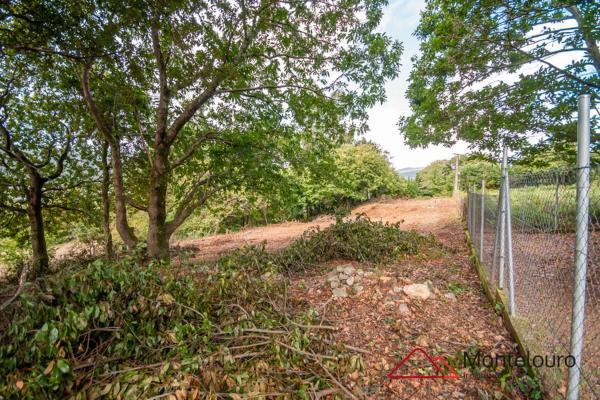 Terreno en calle Entins s/n