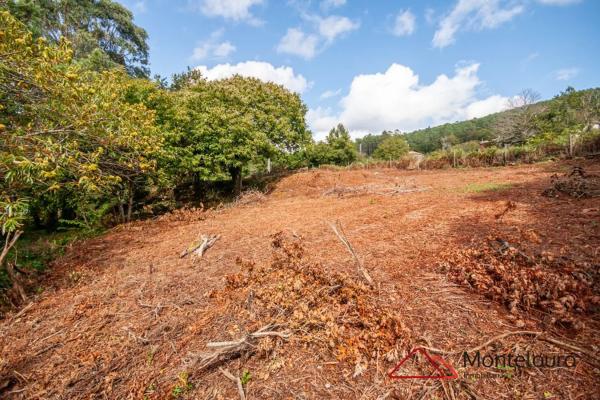 Terreno en calle Entins s/n