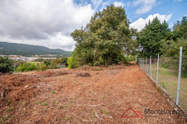 Terreno en calle Entins s/n