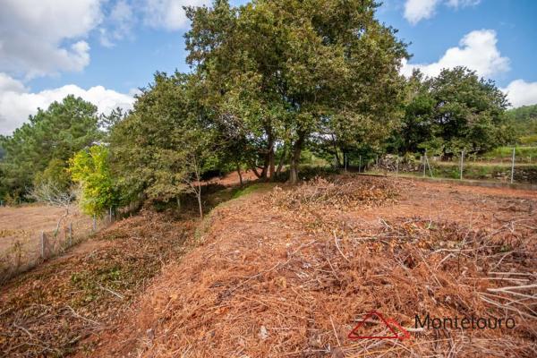 Terreno en calle Entins s/n