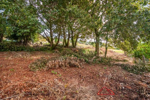 Terreno en calle Entins s/n