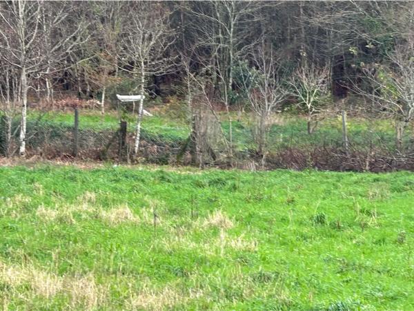 Terreno en Lugar Millon