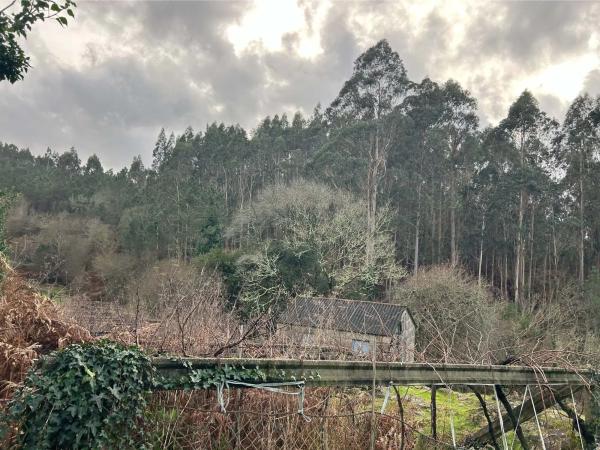 Terreno en Lugar Millon