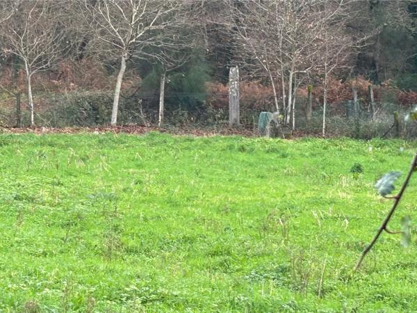 Terreno en Lugar Millon