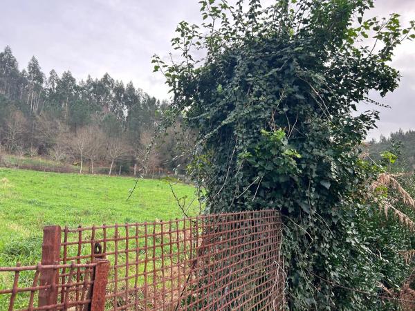 Terreno en Lugar Millon