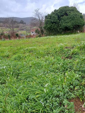 Terreno en Pista Carantoña, 5