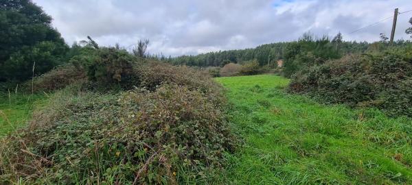 Terreno en cedofeito s/n