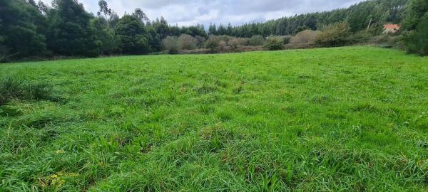 Terreno en cedofeito s/n