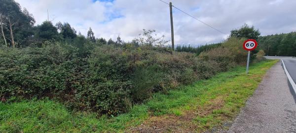 Terreno en cedofeito s/n