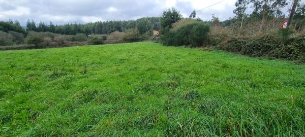 Terreno en cedofeito s/n