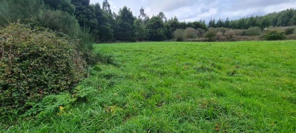 Terreno en cedofeito s/n