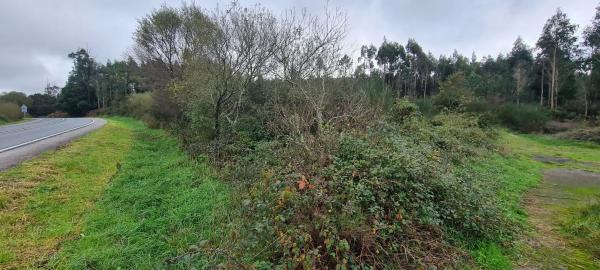 Terreno en cedofeito s/n