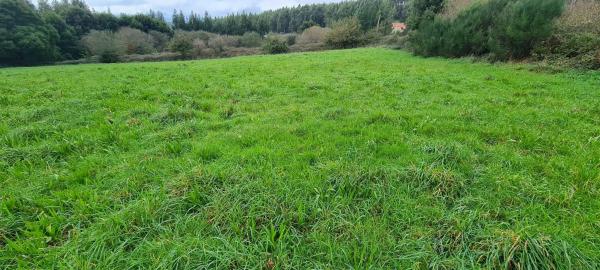 Terreno en cedofeito s/n