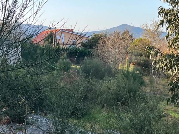 Terreno en Parroquia Miñortos s/n