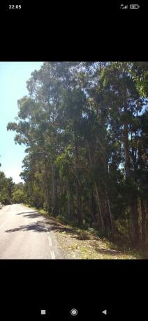 Terreno en Cp-7102, 2