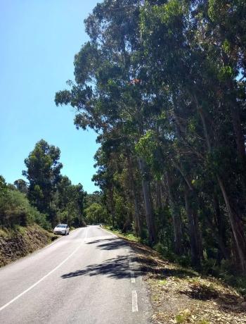 Terreno en Cp-7102, 2