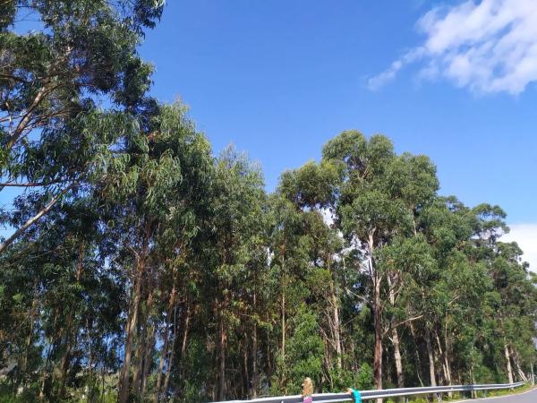 Terreno en Cp-7102, 2