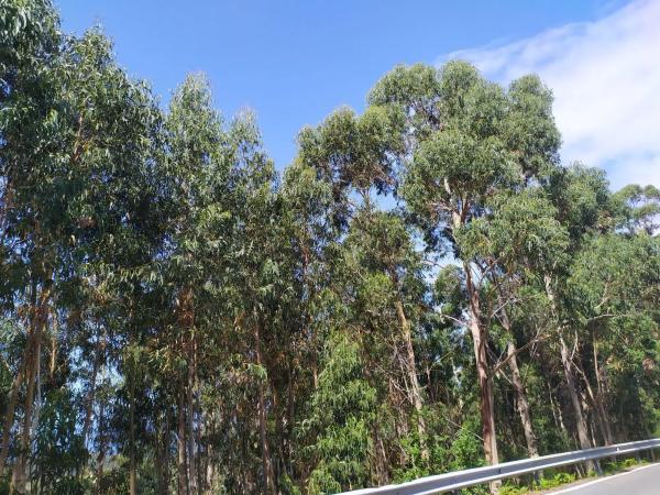 Terreno en Cp-7102, 2