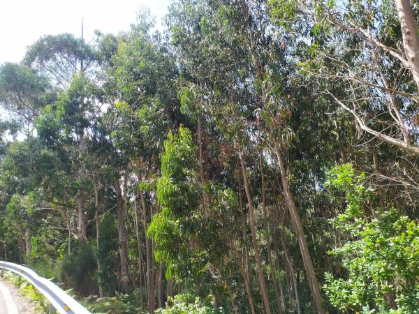 Terreno en Cp-7102, 2