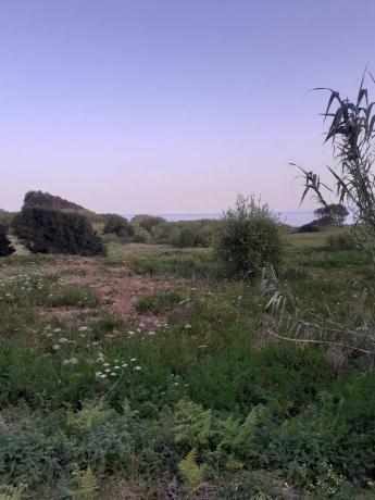 Terreno en calle lugar de espiñeirido s/n