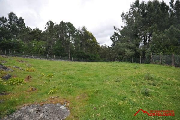 Terreno en Mosteiro, o Freixo