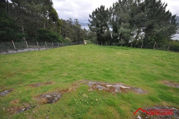 Terreno en Mosteiro, o Freixo
