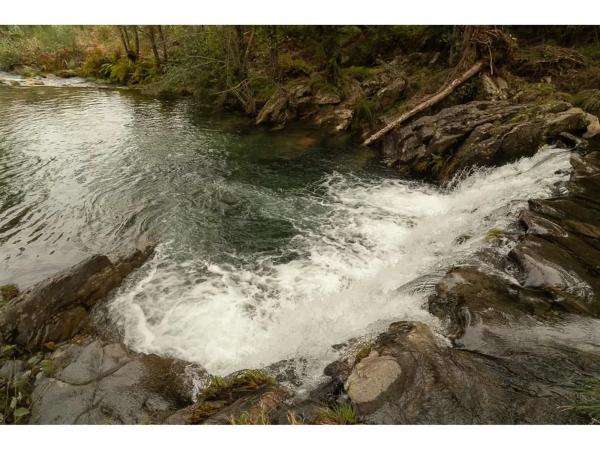 Terreno en pozo negro